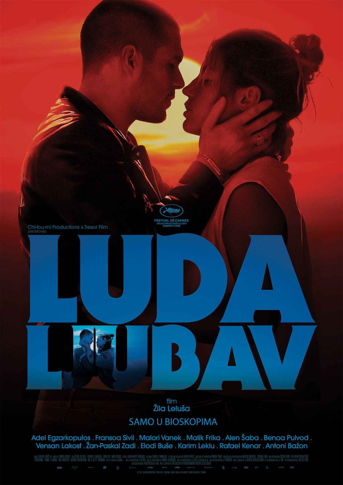 Luda ljubav