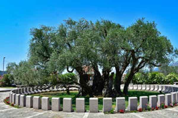 Susreti pod starom maslinom